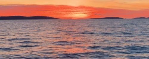 572b6c42-beae-44f4-a260-d056879f1f73